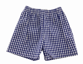 Boys Gingham Lined Short | Royal Blue Car ride wear for kids Embroidered children's clothes