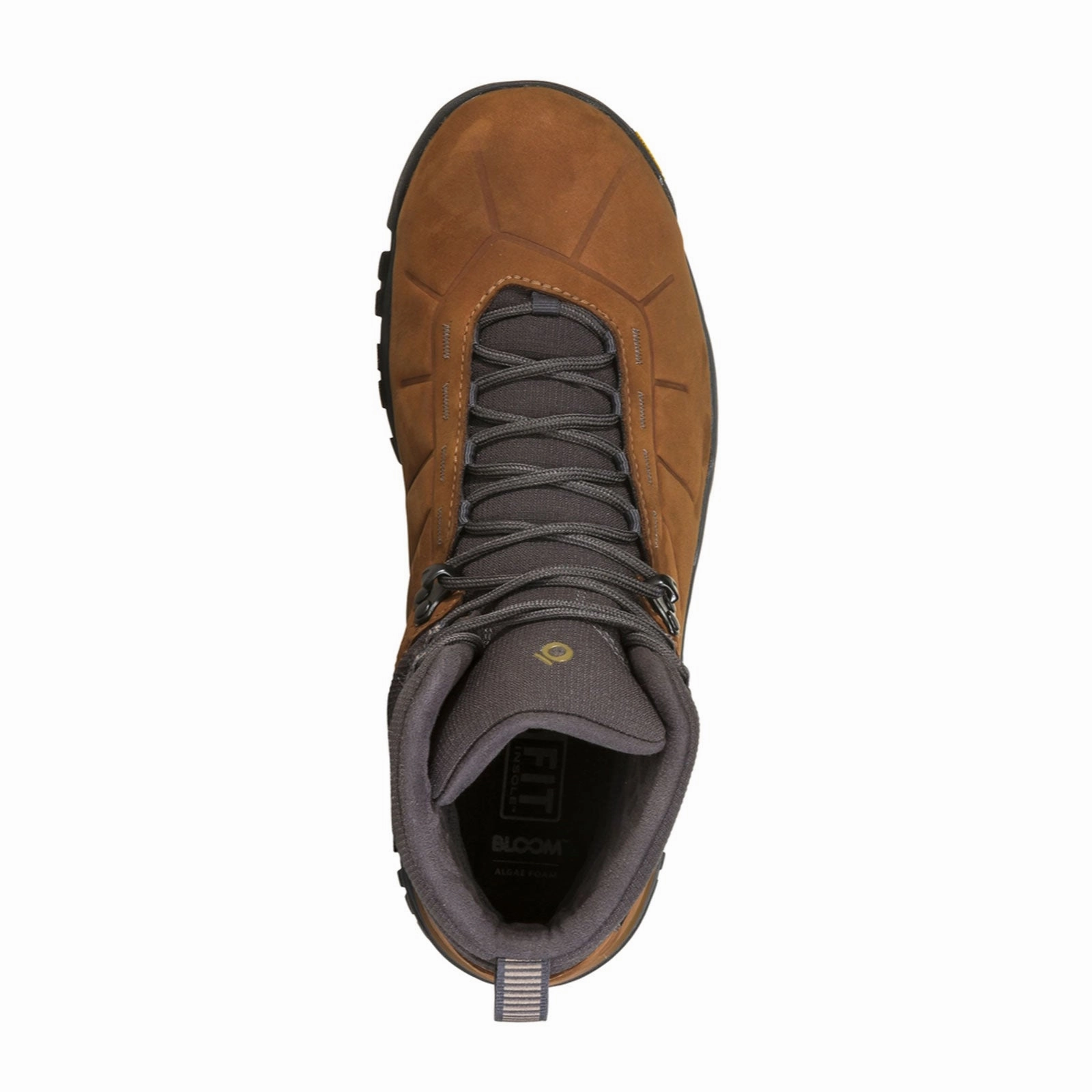 Oboz Andesite Mid Insulated B-DRY Winter Boot (Men) - Dachshund Walk Proud