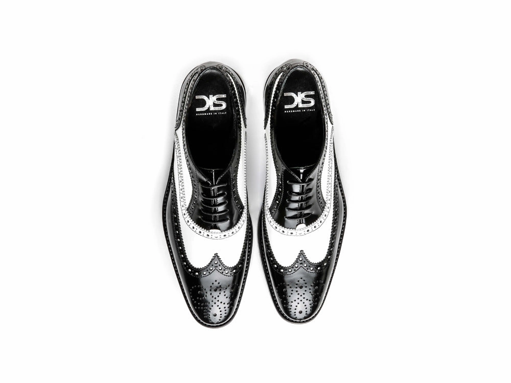 Glossy Layer Daily Commute Fred