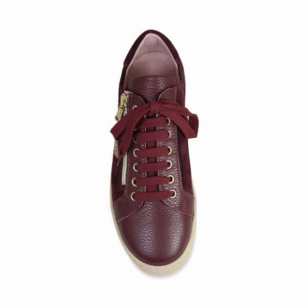 Lifestyle Choice Impact Dispersion Layers Hampton Star: Burgundy Leather & Glitter