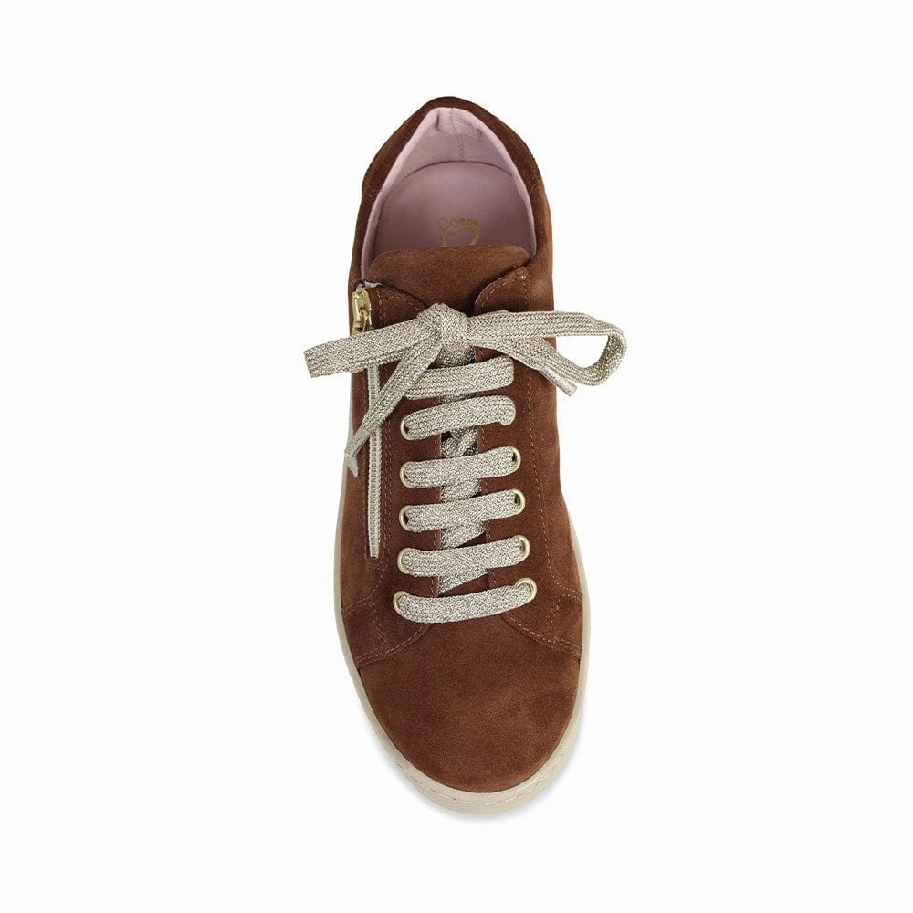 Trendy sneakers Tread Easy Hampton Star: Chestnut Suede & Gold