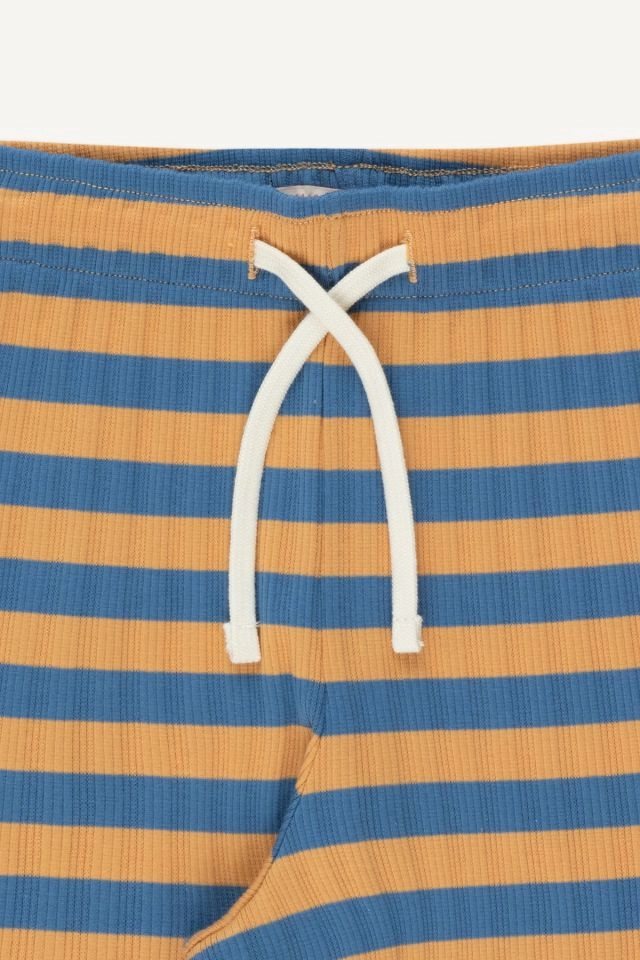 TINYCOTTONS Kids STRIPES SHORT in Night Blue Stripes 081 Little boy Classy