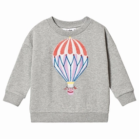 Molo Kids Maxi Sweatshirt - Grey Melange Train journey clothes for children