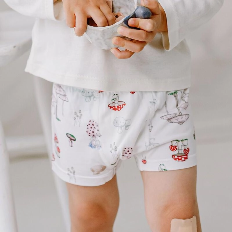 Nest Designs Kids/Boys Bamboo Briefs Underwear (2 Pack) - Meadow Mystery Playtime clothing