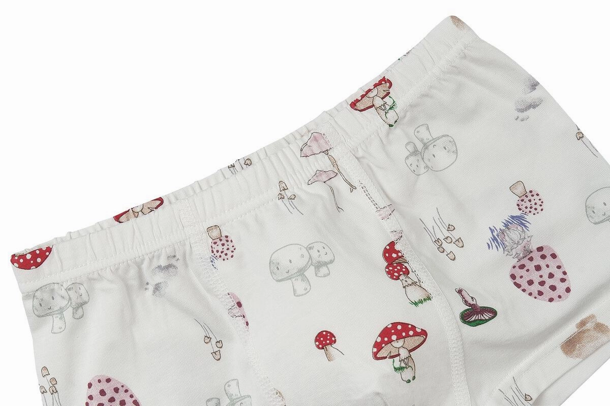 Monochromatic outfits for children Nest Designs Kids/Boys Bamboo Briefs Underwear (2 Pack) - Meadow Mystery