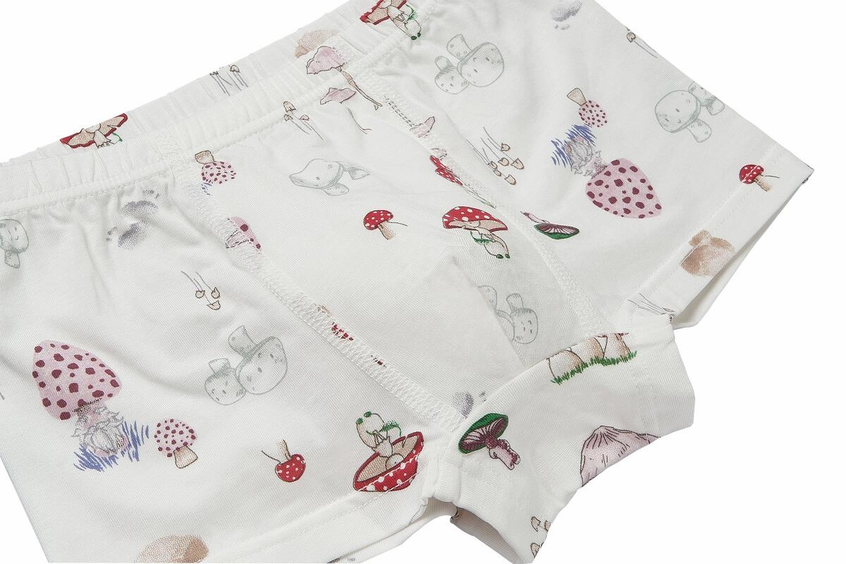 Birthday party wear for children Nest Designs Kids/Boys Bamboo Briefs Underwear (2 Pack) - Meadow Mystery