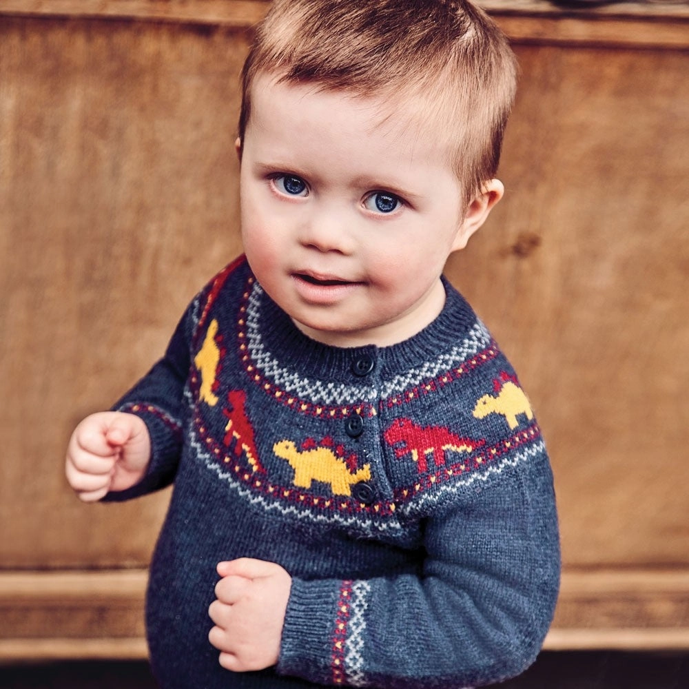 All - Purpose Jojo Maman Bebe Kids Navy Dinosaur Fair Isle Sweaters