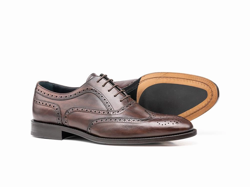 Fred Versatile Comfort On-The-Go