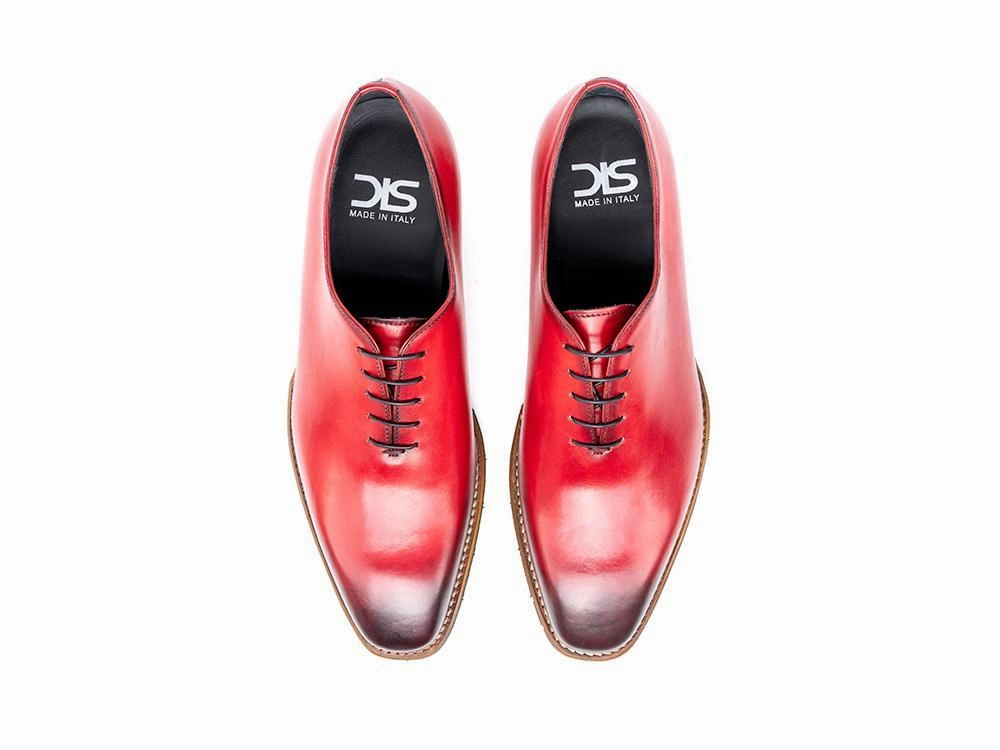 Cesare Glossy Layer Working Professional Stylish Design