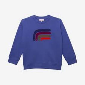 Catimini Kids Boys Embroidered Cotton Sweatshirt in Blue Plus - size Toddler