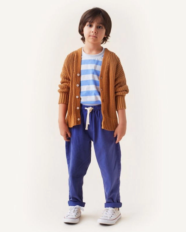 Washable kids' apparel TINYCOTTONS Kids SOLID PANT in Ultramarine 233