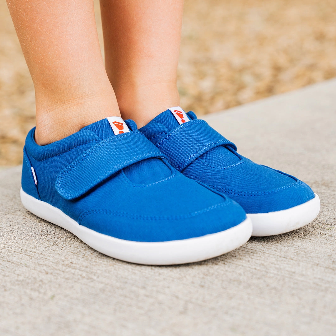 EXPLORE 2.0 Cobalt Blue Smart Choice