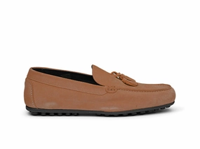 Versatile Office Shoes Flavio